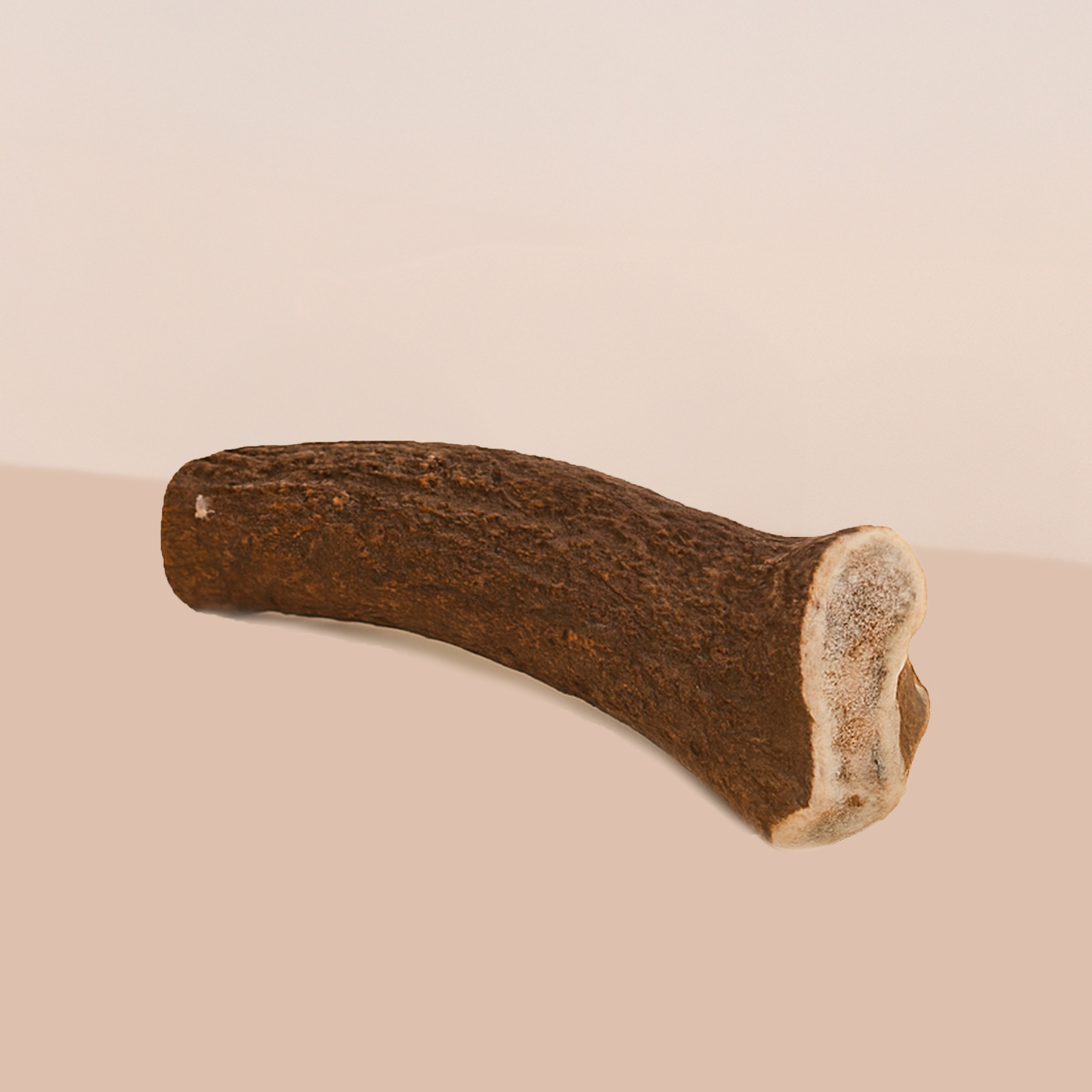 Bois de Cerf entier