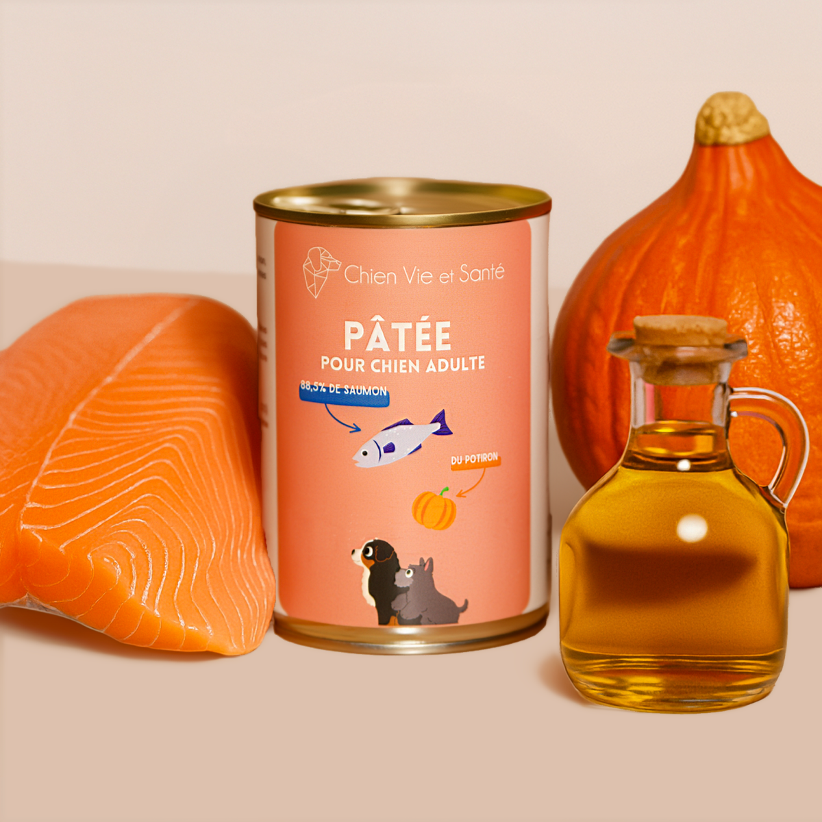 Pâtée au saumon et au potiron - 400g